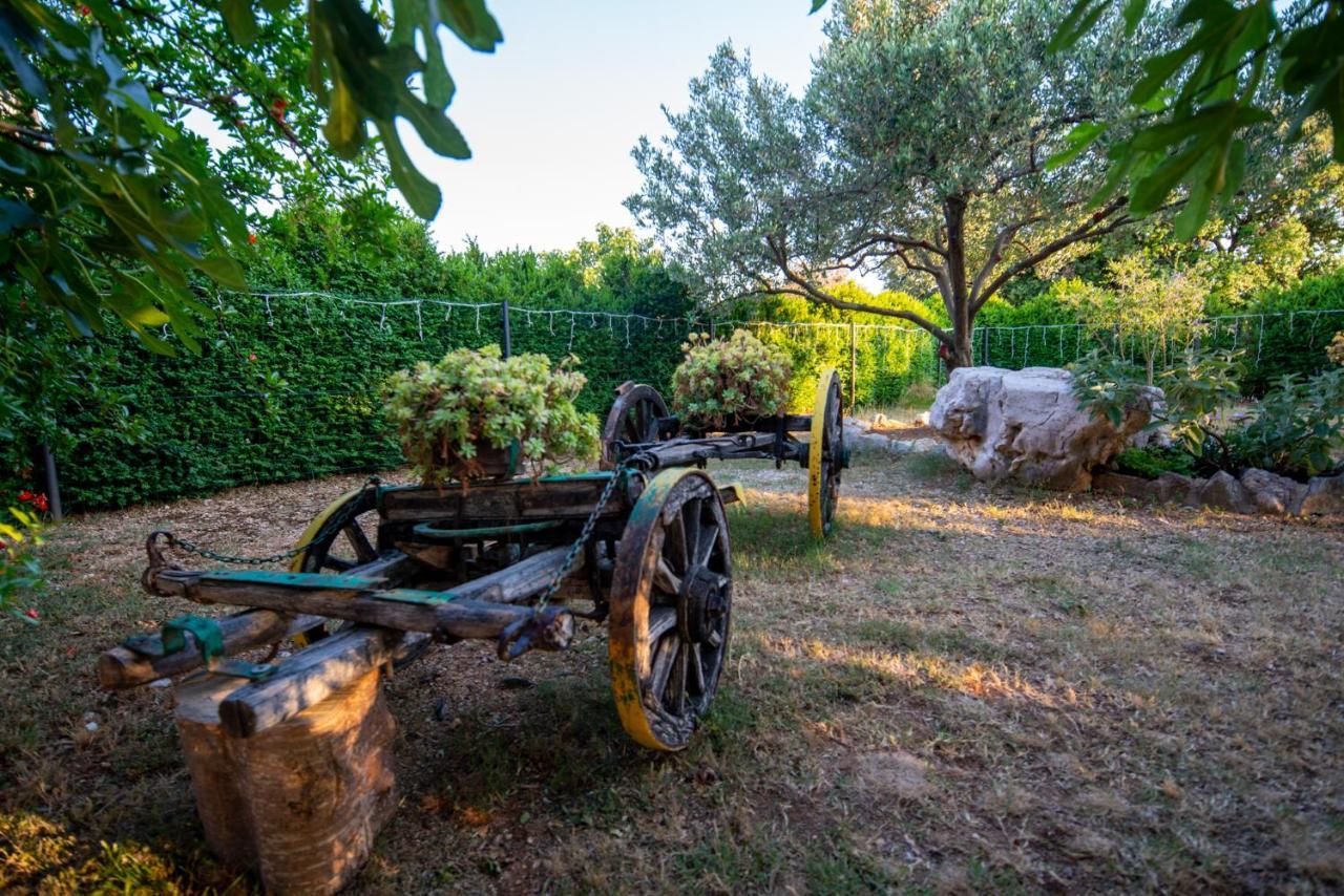 Holiday House Cvita Biograd Na Moru Exterior foto