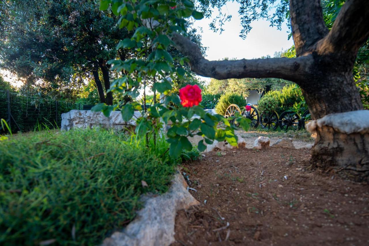 Holiday House Cvita Biograd Na Moru Exterior foto