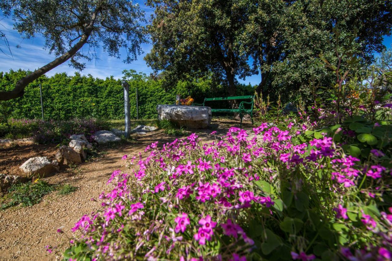Holiday House Cvita Biograd Na Moru Exterior foto